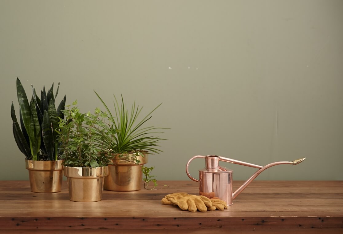 15 Best Indoor Gardening Tools You Need To Know About