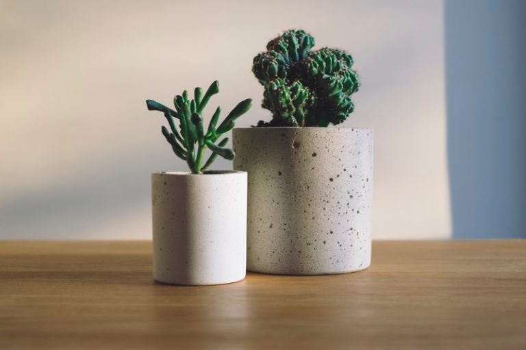 Indoor plants pots